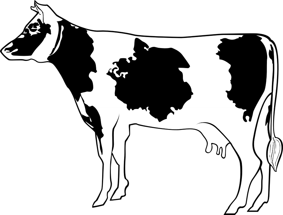 Cow Livestock Cattle Farm Animal Beef Milk - Farm Animals Black And White, Transparent background PNG HD thumbnail