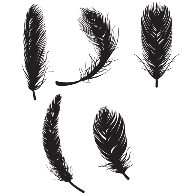 Animals » Feather Free Vectors - Feathers, Transparent background PNG HD thumbnail