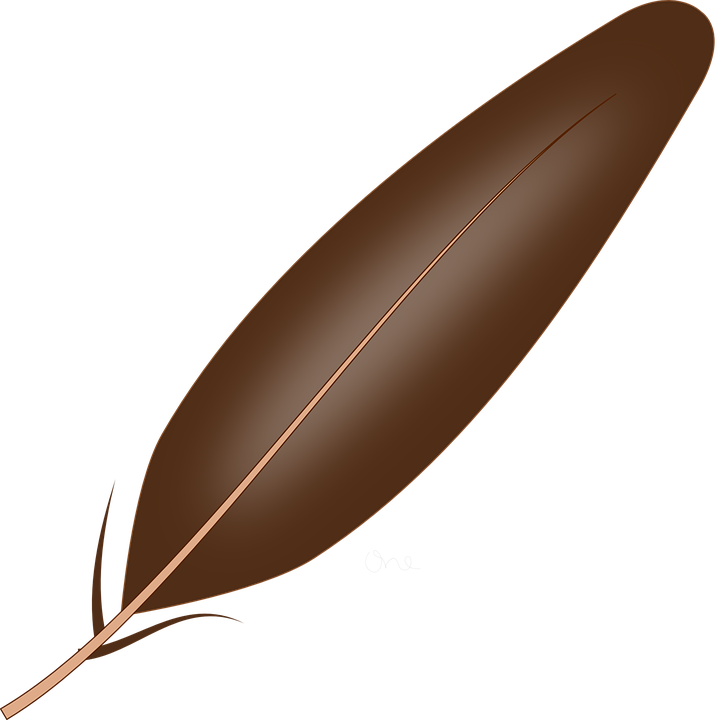 Feather, Dove, Ornithology, Brown, Lightweight, Light - Feathers, Transparent background PNG HD thumbnail