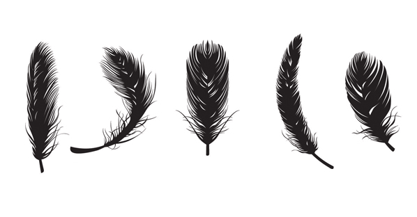 Feather Free Vectors Freevectors Clip Art - Feathers, Transparent background PNG HD thumbnail