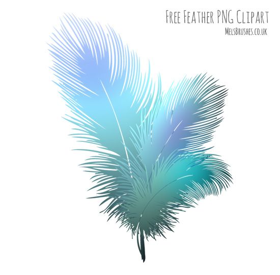 Free Feathers Png Clipart  How To Colorize Black Images In Photoshop Tutorial | Digital Art  Photoshop | Pinterest | Black Image, Photoshop Tutorial And Hdpng.com  - Feathers, Transparent background PNG HD thumbnail