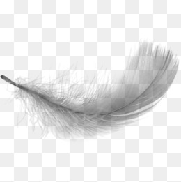 White Feathers Falling, White Feathers Falling, White Feather, Falling Feathers Png Image - Feathers, Transparent background PNG HD thumbnail