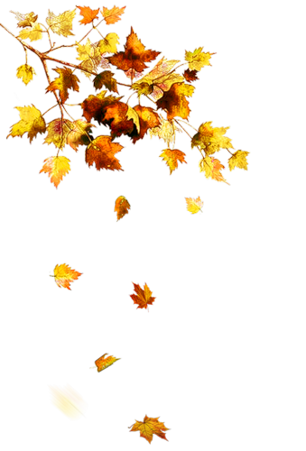 Feuilles - Feuille Dautomne, Transparent background PNG HD thumbnail