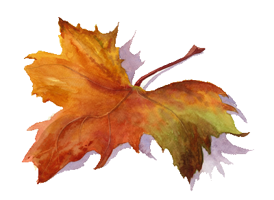 [ Img] - Feuille Dautomne, Transparent background PNG HD thumbnail