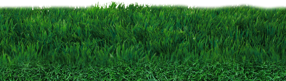 Field Png Transparent - Field, Transparent background PNG HD thumbnail