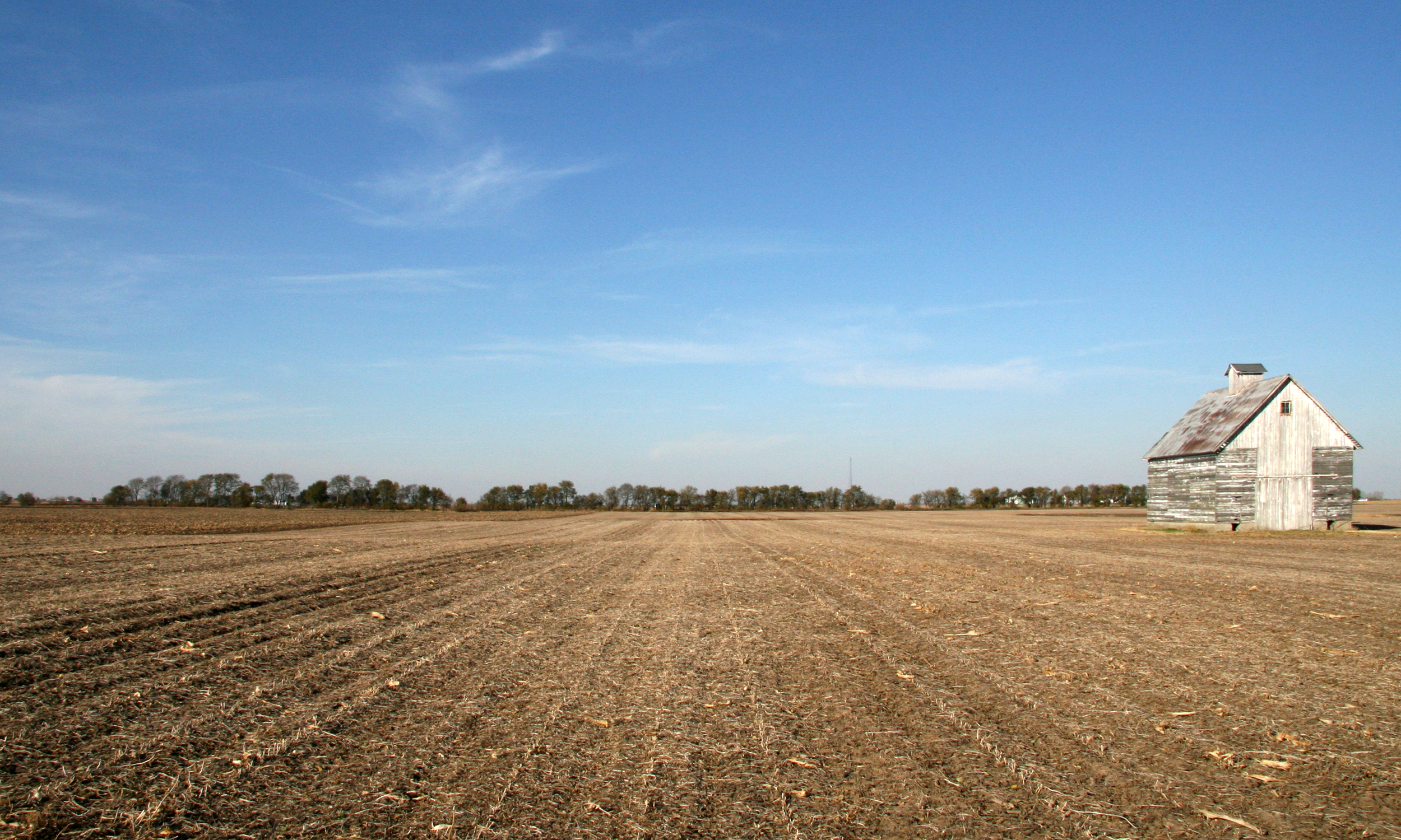 File:Wheat field.png