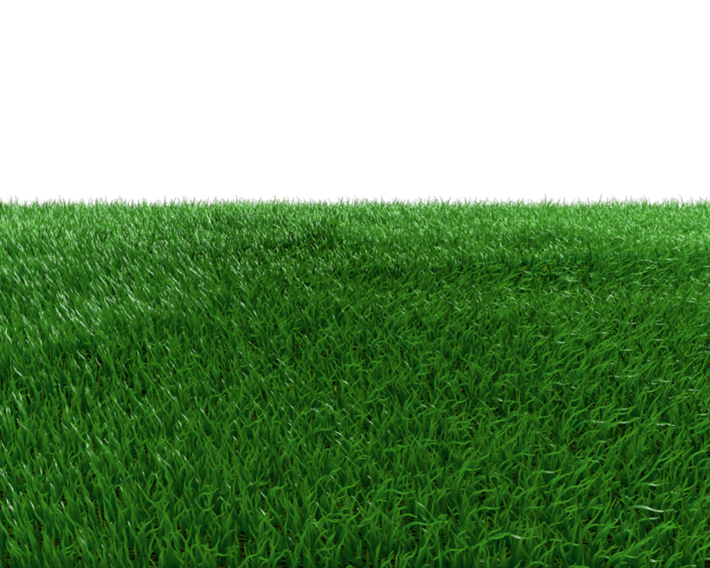 Grass Field Png By Dabbex30 Hdpng.com  - Field, Transparent background PNG HD thumbnail
