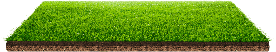 Green Field Ground Ground Shadow - Field, Transparent background PNG HD thumbnail