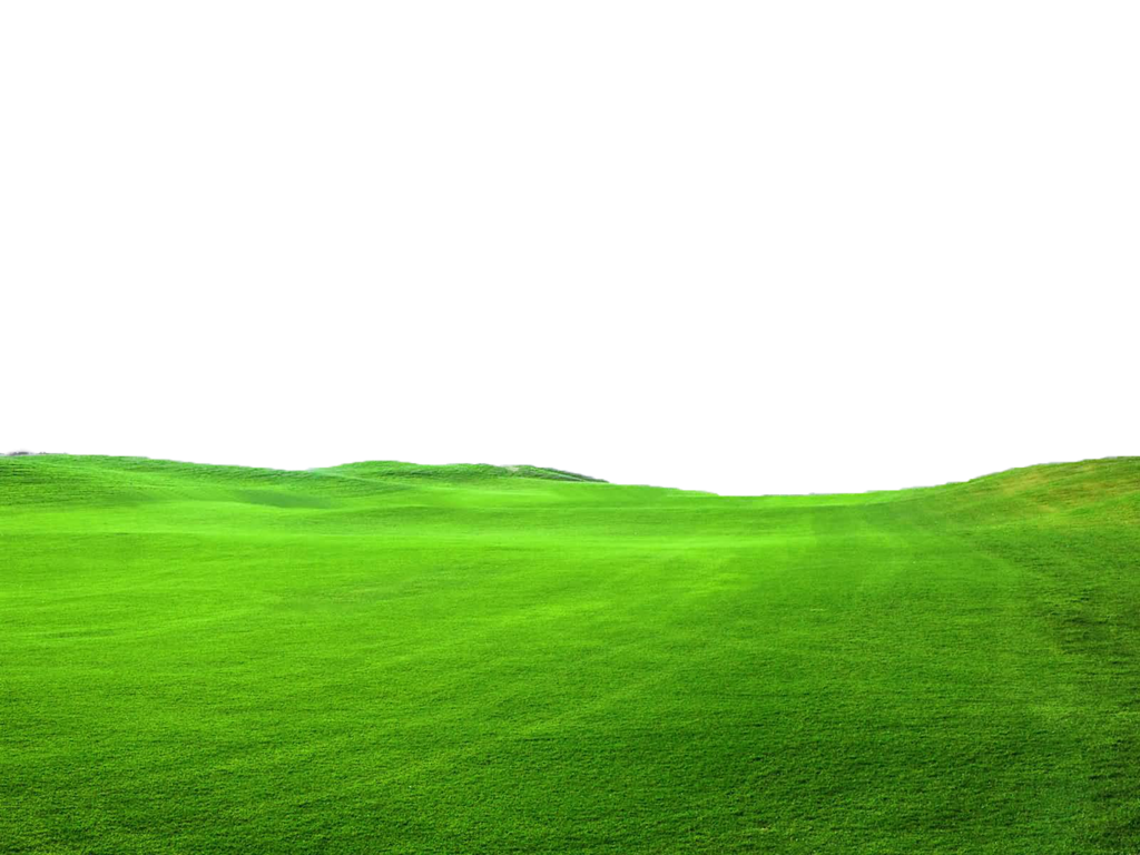 Green Grass Png File   Use Freely By Theartist100 Hdpng.com  - Field, Transparent background PNG HD thumbnail