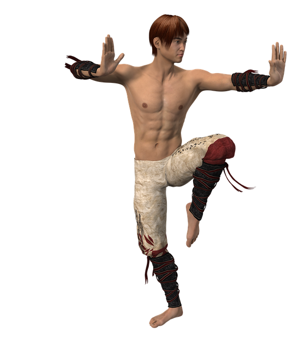 Man Fight Pose Fighter Warrior Figure Soldier - Fight, Transparent background PNG HD thumbnail