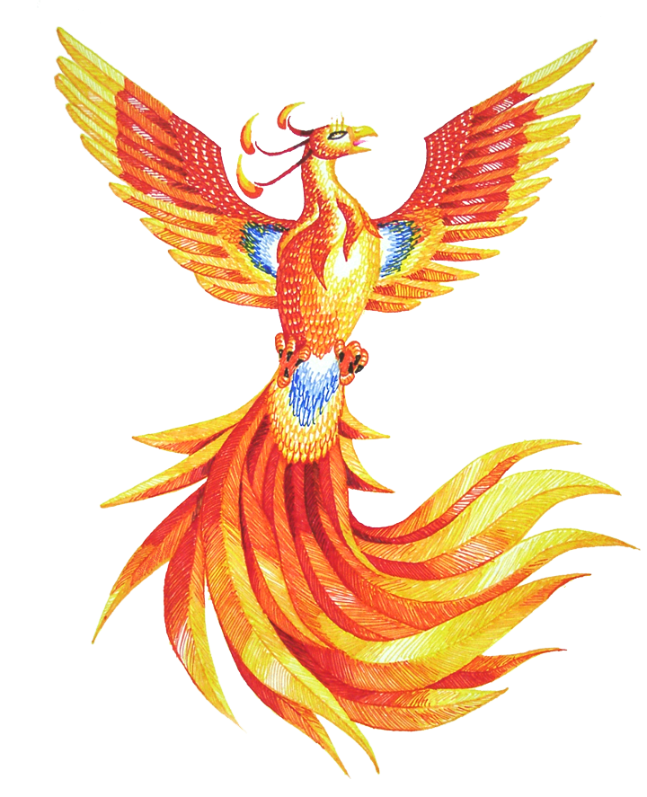 Png File Name: Phoenix Png Hd Dimension: 720X887. Image Type: .png. Posted On: Aug 24Th, 2016. Category: Fantasy Tags: Phoenix - Phoenix, Transparent background PNG HD thumbnail