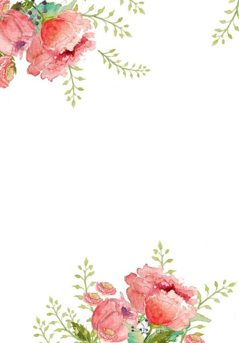 immagine png fiori rosa fiori