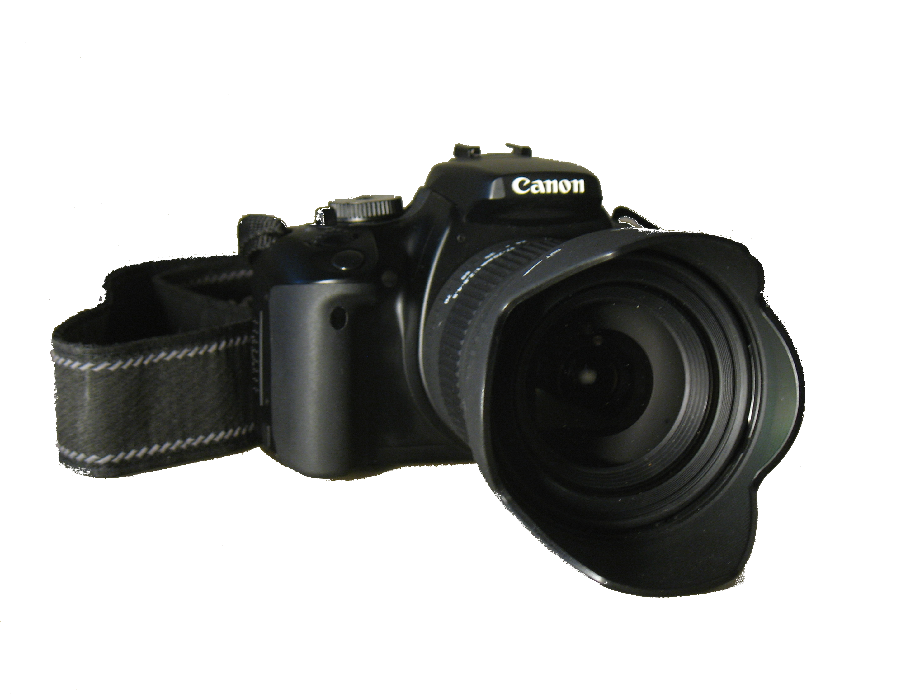 The D5100 is a new digital SL