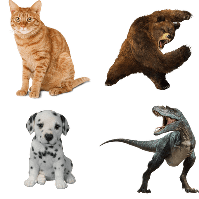 Animals - Download, Transparent background PNG HD thumbnail