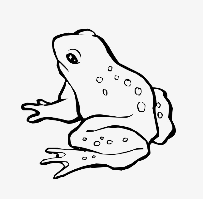 Black And White Cartoon Lines Frogs, Black And White, Cartoon, Line Png And - Frog Black And White, Transparent background PNG HD thumbnail