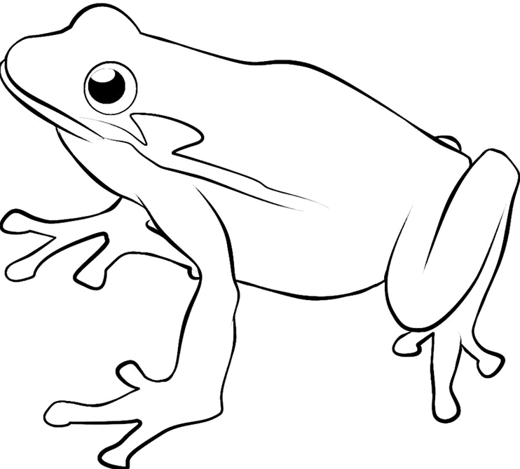Frog Clip Art Black And White