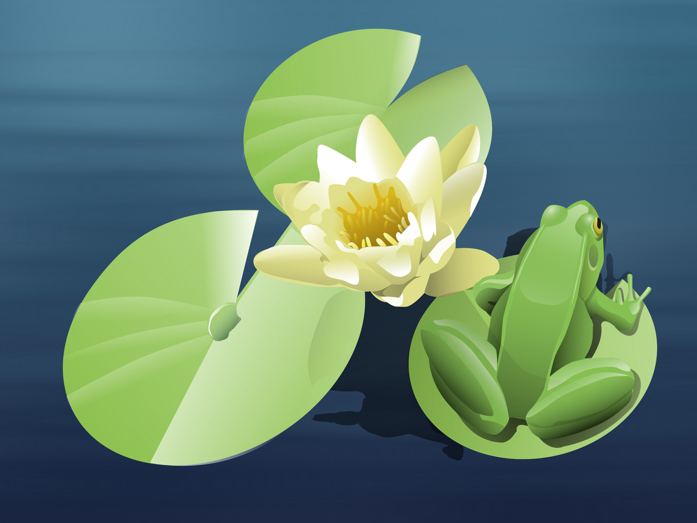 This Free Icons Png Design Of Frog On A Lily Pad (Animated) Hdpng.com  - Frog On Lily Pad, Transparent background PNG HD thumbnail