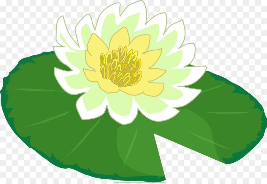 Water Lily Frog Clip Art   Lily Pad - Frog On Lily Pad, Transparent background PNG HD thumbnail
