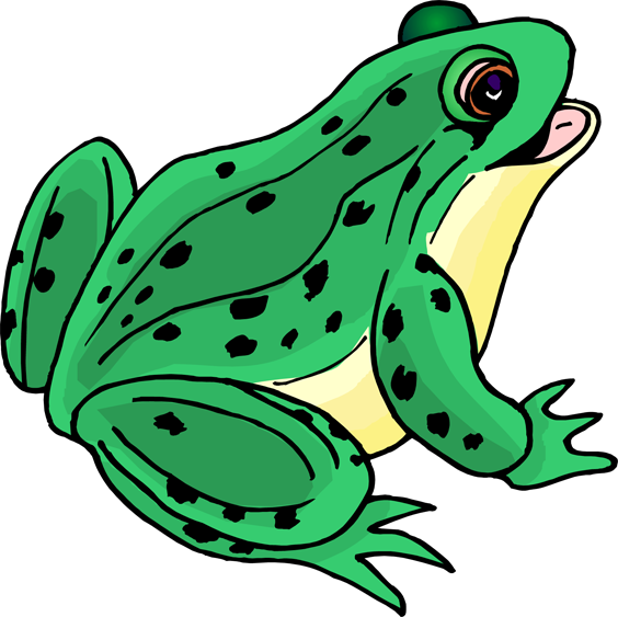 Frog PNG File