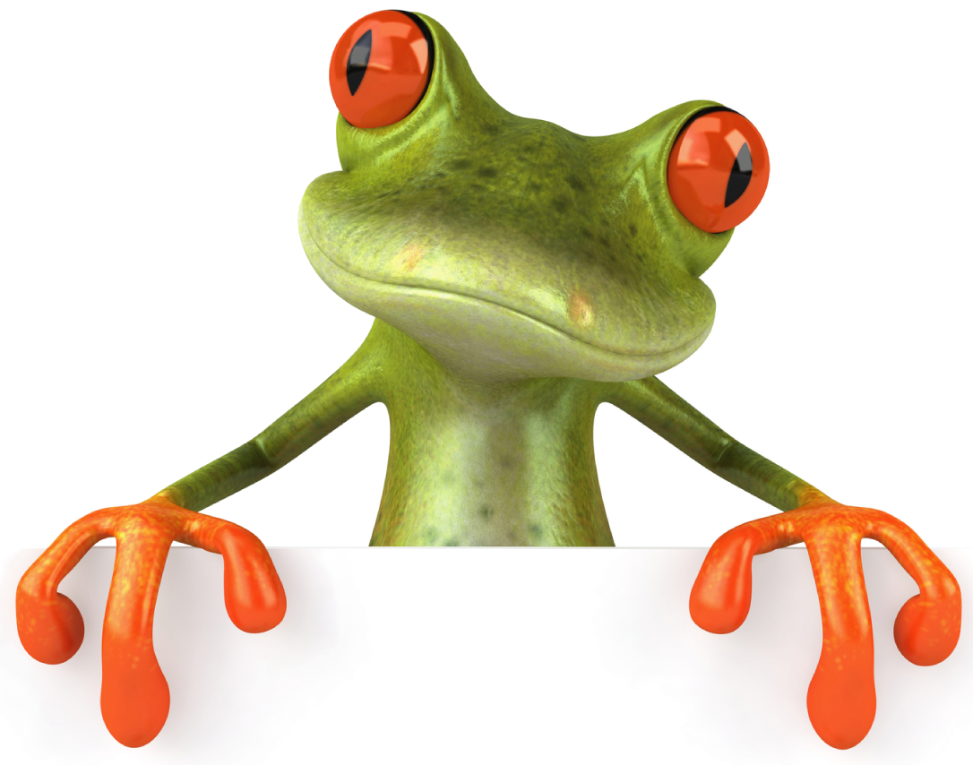 frog PNG image