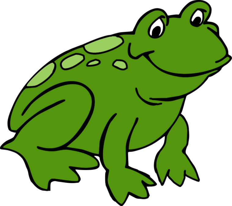 Frog Png Image PNG Image