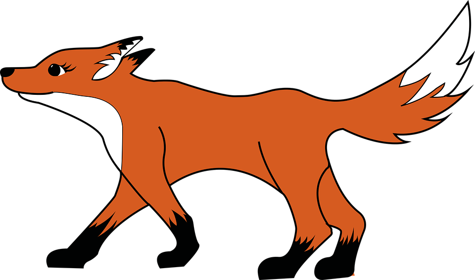 wütend tier forrest fox fuch