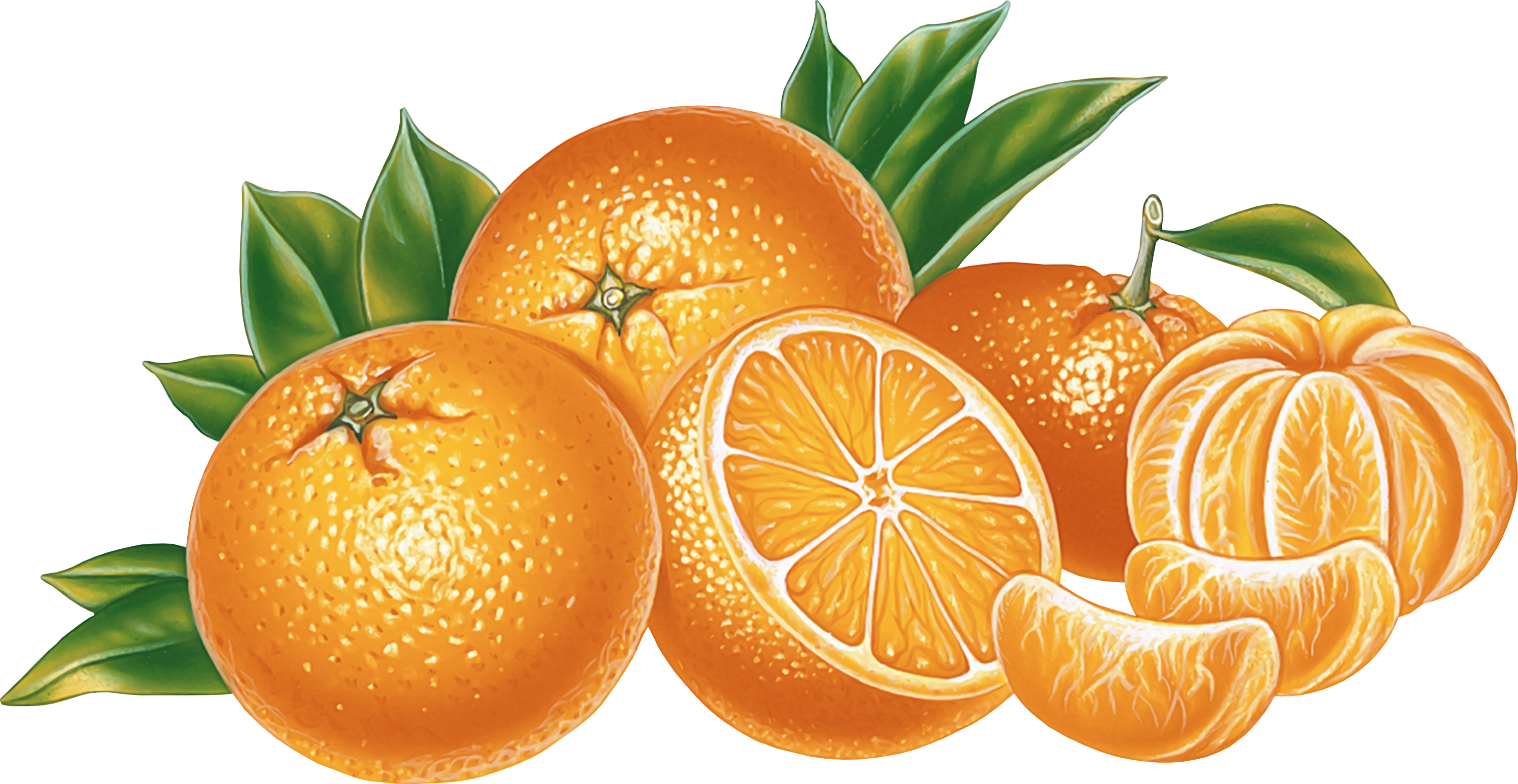 Orange Png Image, Free Download - Gallery, Transparent background PNG HD thumbnail