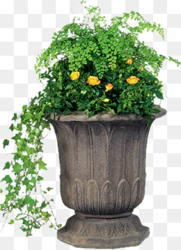 Ceramic Flower Pots, Small Fresh, Ceramic Pots, Flower Pot Png Image - Gamla, Transparent background PNG HD thumbnail