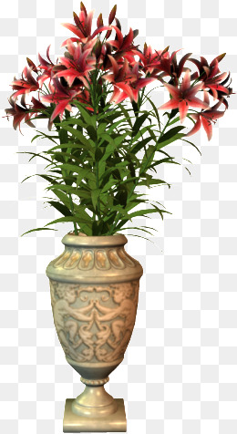 Vase, Flower Pot, Vase, Flowers Png Image - Gamla, Transparent background PNG HD thumbnail