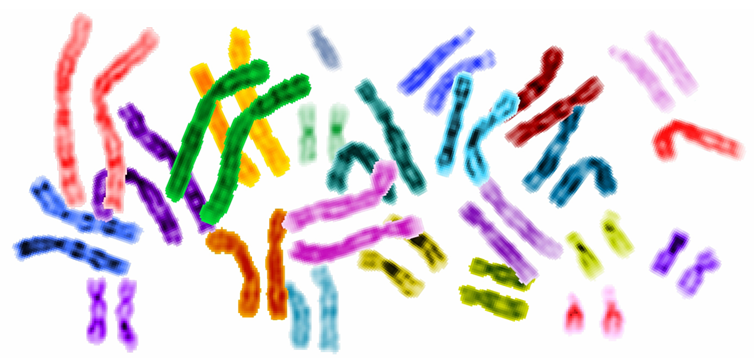 Famous DNA double helix
