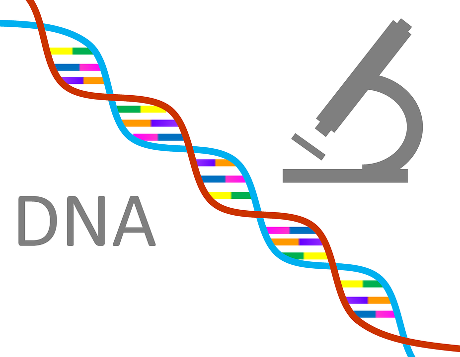 Dna, Genetics, Science, Research, Gene, Chromosome - Genetics, Transparent background PNG HD thumbnail