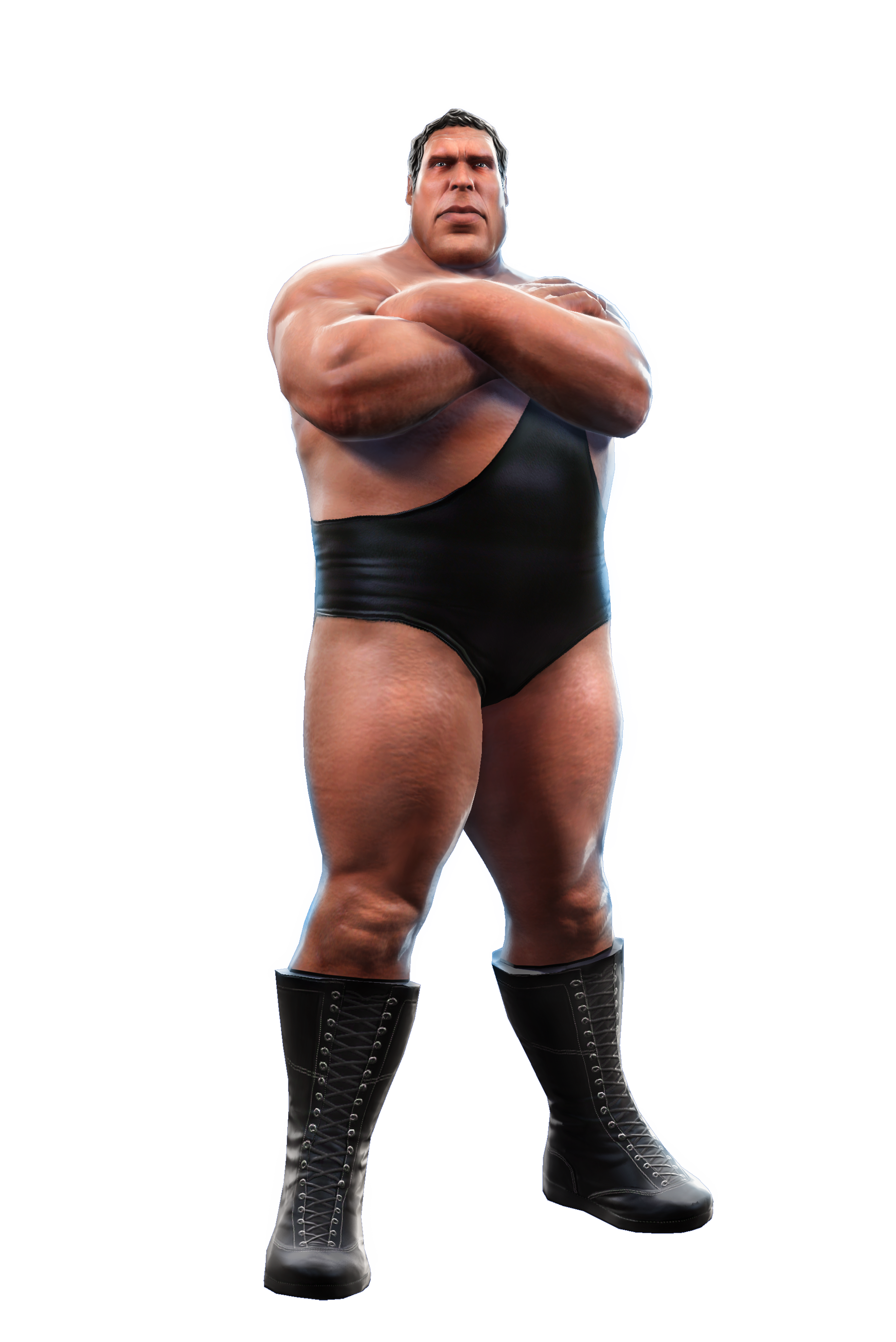 Image   Andre The Giant.png | Wwe All Stars Wiki | Fandom Powered By Wikia - Giant, Transparent background PNG HD thumbnail