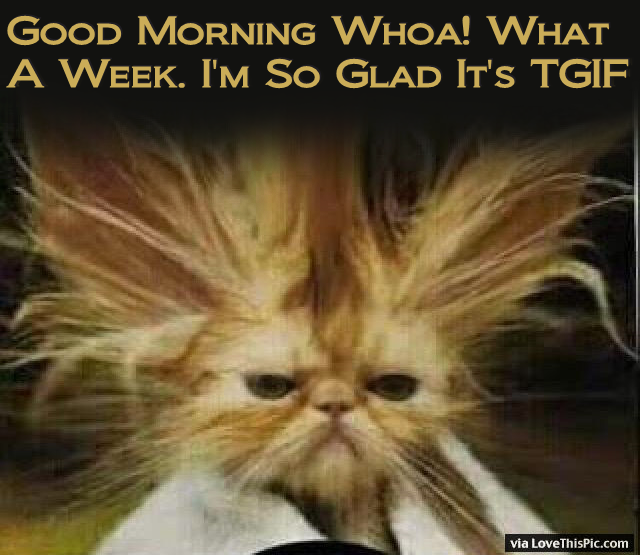Funny Good Morning Tgif Pictures, Photos, And Images For Facebook, Tumblr, Pinterest - Good Morning Funny, Transparent background PNG HD thumbnail
