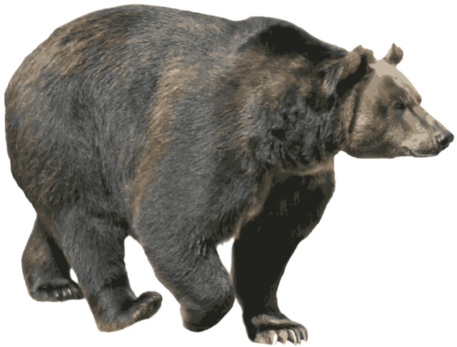 Bear Png - Grizzly Bear, Transparent background PNG HD thumbnail