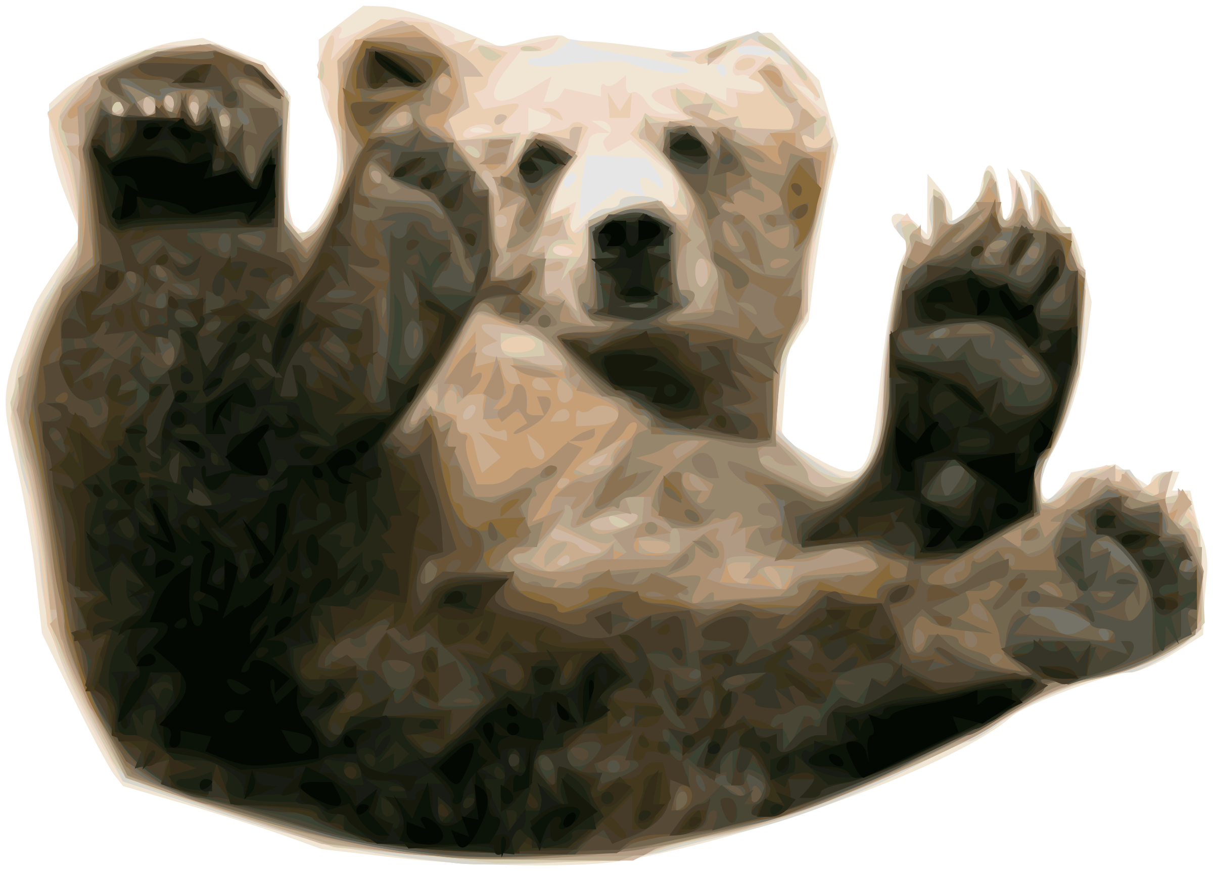 Big Image (Png) - Grizzly Bear, Transparent background PNG HD thumbnail