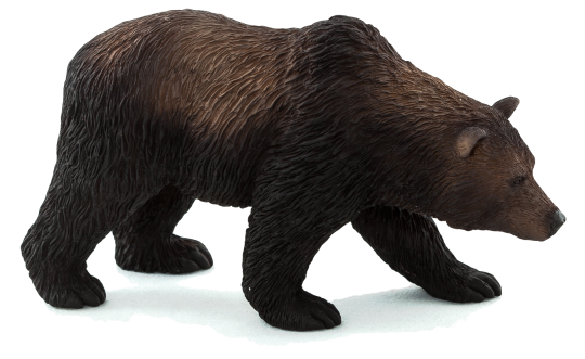 Grizzly Bear - Grizzly Bear, Transparent background PNG HD thumbnail