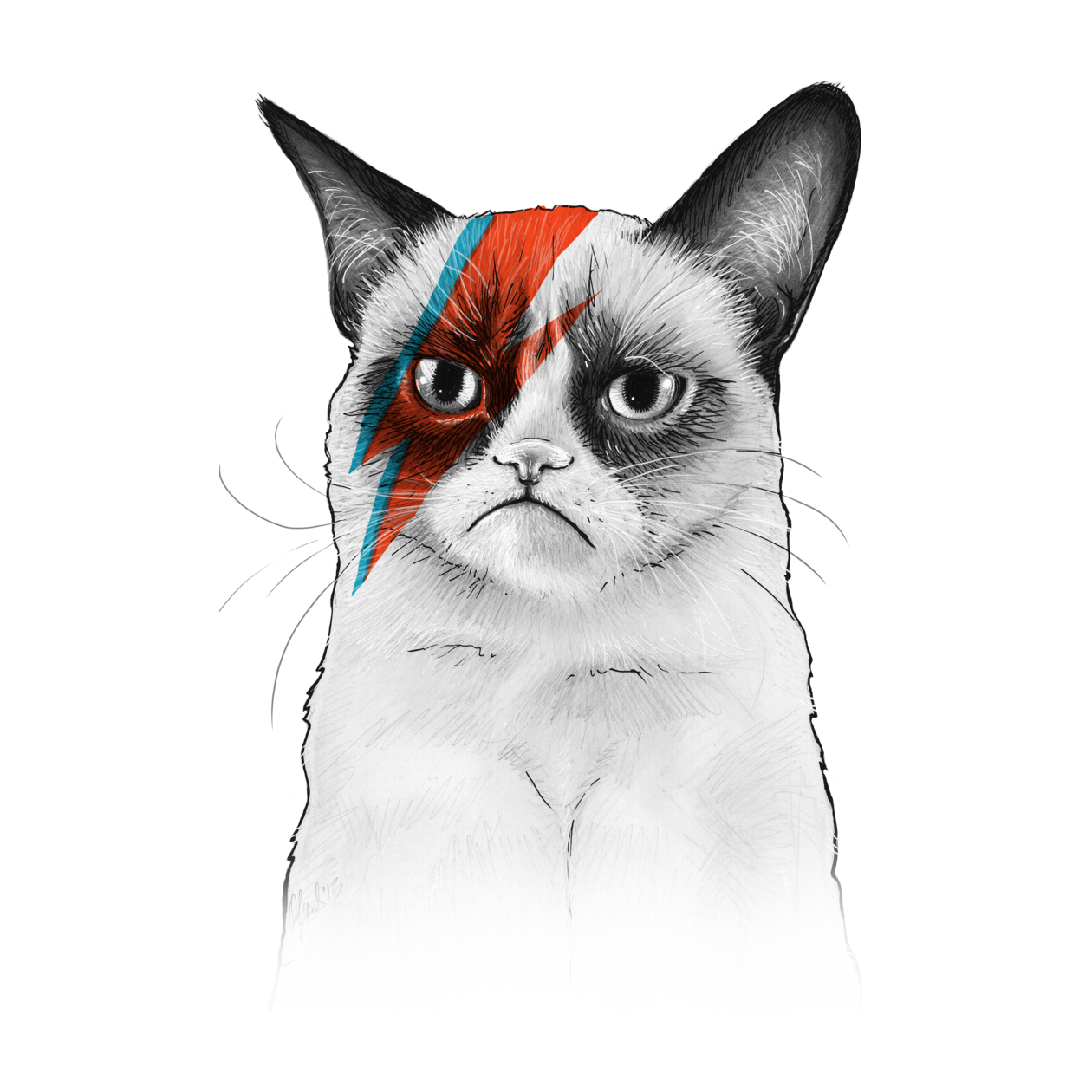 Bowie2 Bowie - Grumpy Cat, Transparent background PNG HD thumbnail