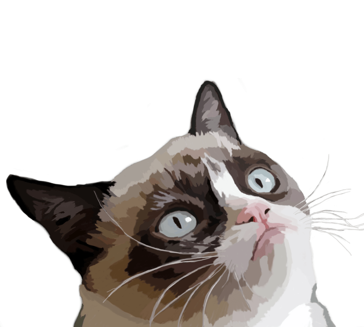 PNG Grumpy Cat-PlusPNG.com-25