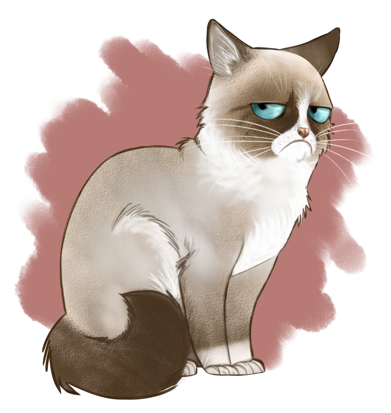 Tard the Grumpy cat by ErizoI