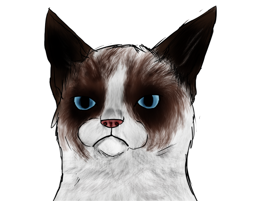 Tard the Grumpy cat by ErizoI