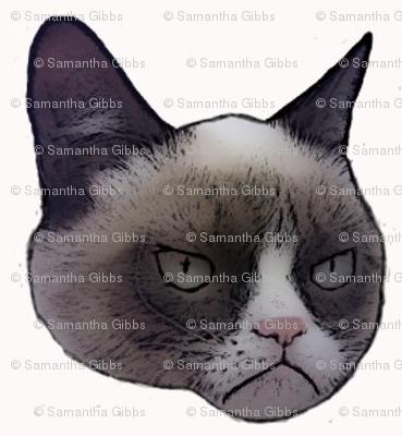 Grumpy Cat Face - Grumpy Cat, Transparent background PNG HD thumbnail