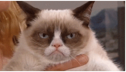 Png Grumpy Cat - (Grumpy Cat.png), Transparent background PNG HD thumbnail