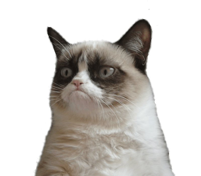 Memes · Grumpy Cat - Grumpy Cat, Transparent background PNG HD thumbnail