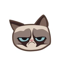 The Official Grumpy Cat Added A New Photo. - Grumpy Cat, Transparent background PNG HD thumbnail