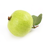 Guava Free Download Png Png Image - Guava, Transparent background PNG HD thumbnail
