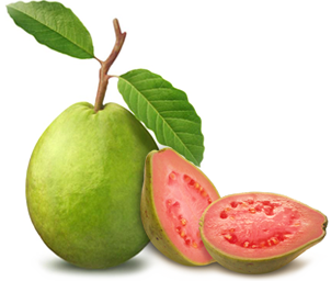 Guava Png Pic PNG Image