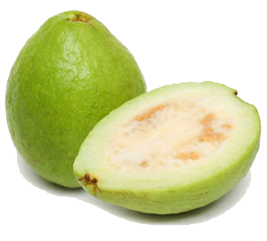PNG Guava-PlusPNG.com-1321