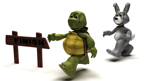 Do You Run Your Sales Process Like The Tortoise Or Hare? - Hare And Tortoise, Transparent background PNG HD thumbnail