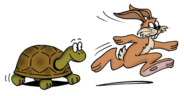 Tortoise And Hare Cartoon   Photo#2 - Hare And Tortoise, Transparent background PNG HD thumbnail