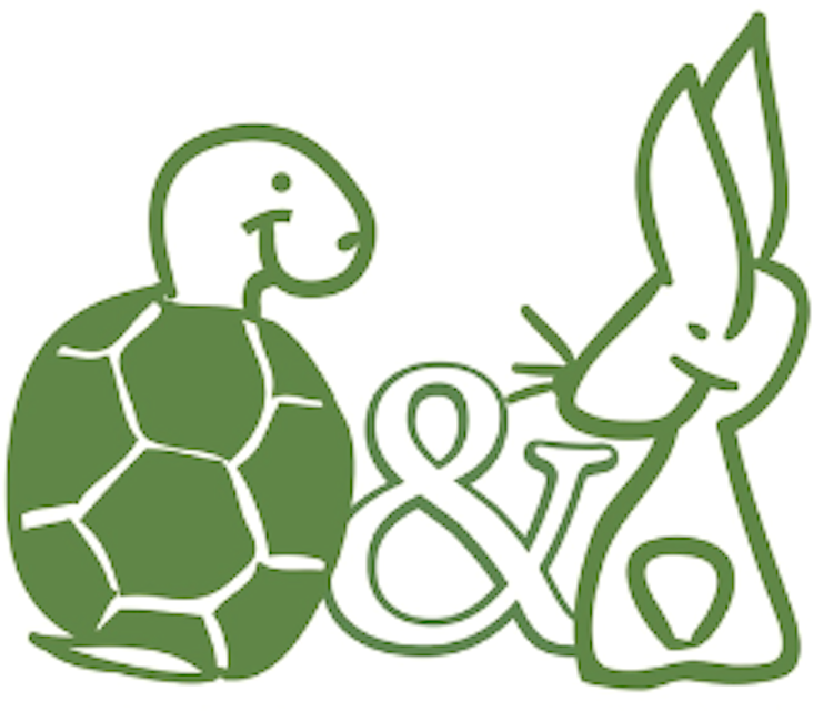 Tortoise and hare cartoon - p